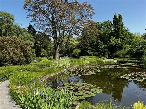 Jardín Botánico del Instituto Tecnológico de Oaxaca: Oaza spokoju w sercu miasta!